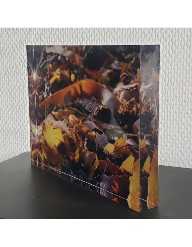 Hélène Tourbine // Orange Blossom - photos sous verre acrylique 25 mm Jusqu'à 80% De Réduction