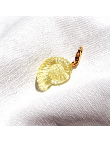 Charms Ammonite Shell - Grand - Citrine brillant des détails fins