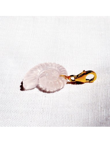 Charms Ammonite Shell - Grand - Quartz Rose d'Europe débarque