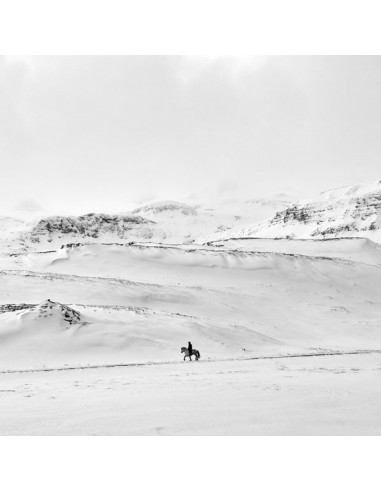 Olivier Joly // Le Cavalier blanc une grave pollution 